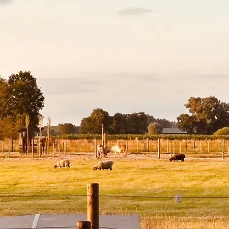 Hoeve De Roskam Apartment