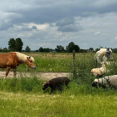 Hoeve De Roskam * Lochem